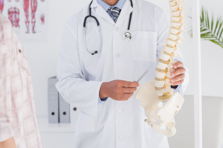 Doctor showing anatomical spine to his patient in medical office